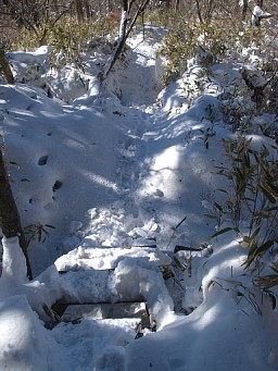 雪道