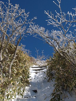 トンネル