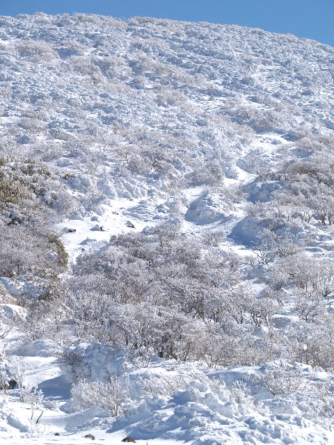 雪壁