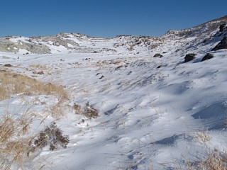 雪原