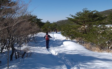 雪道