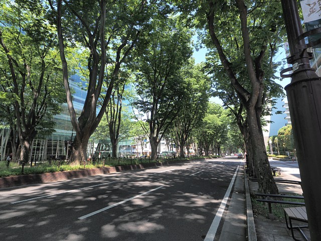 定禅寺通