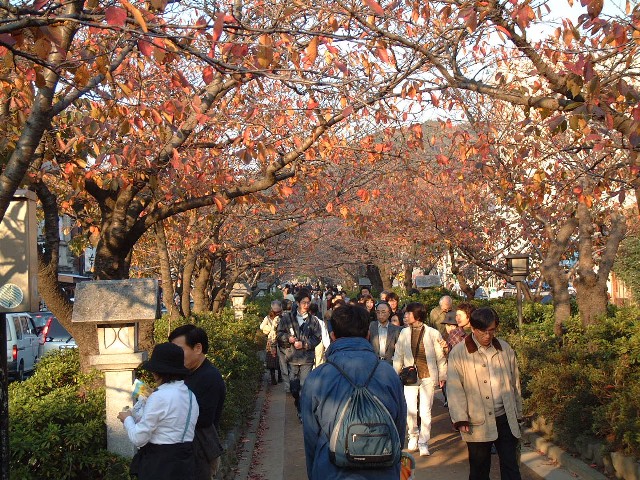 若宮大路