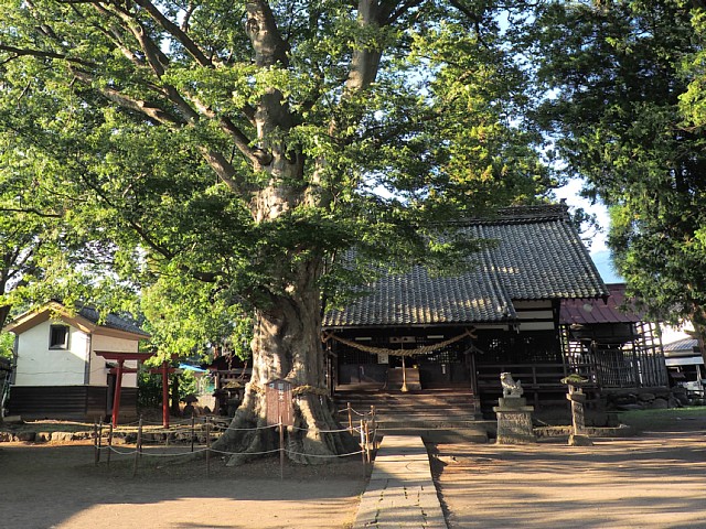 白鳥神社