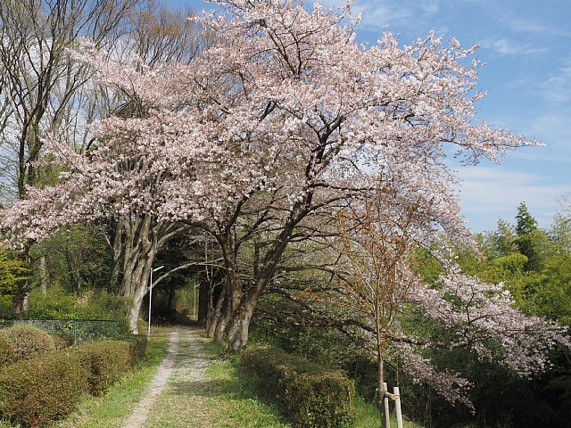 成田園地