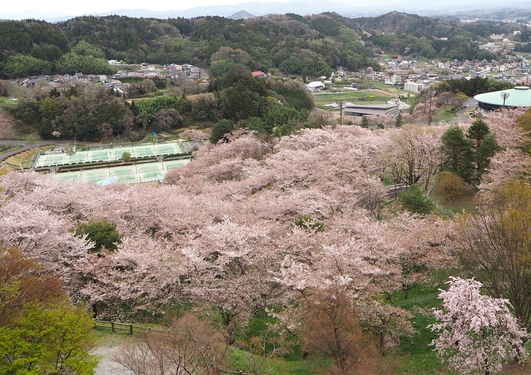 霞ヶ城公園