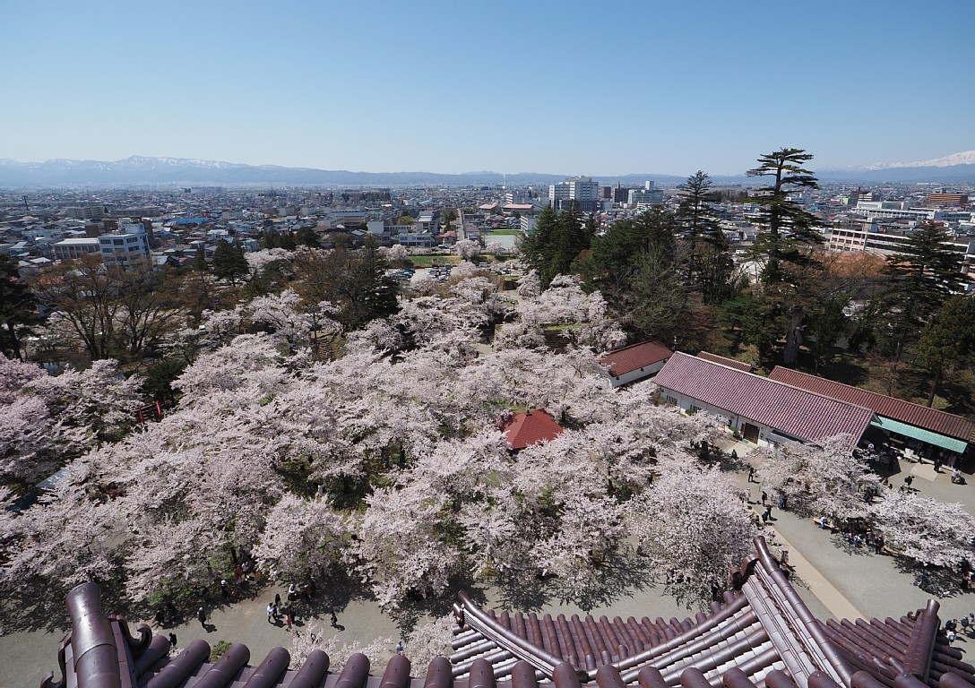 鶴ヶ城公園