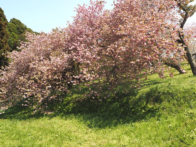静峰公園