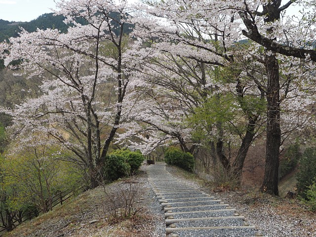 遊歩道