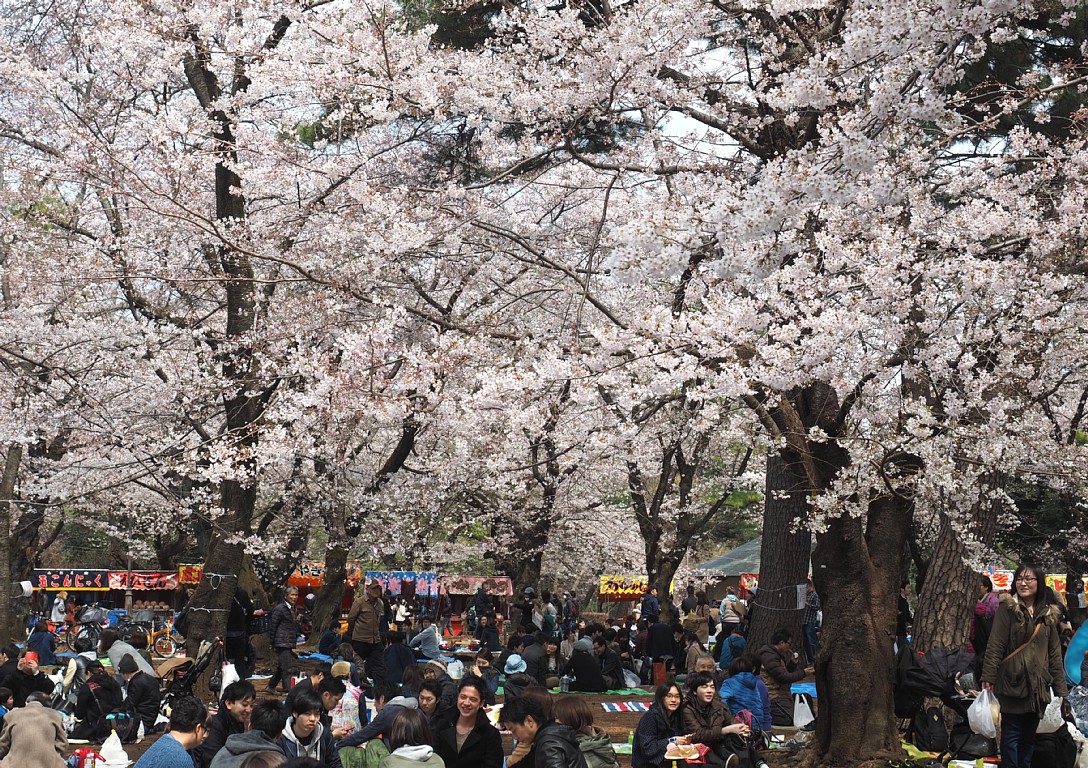 大宮公園