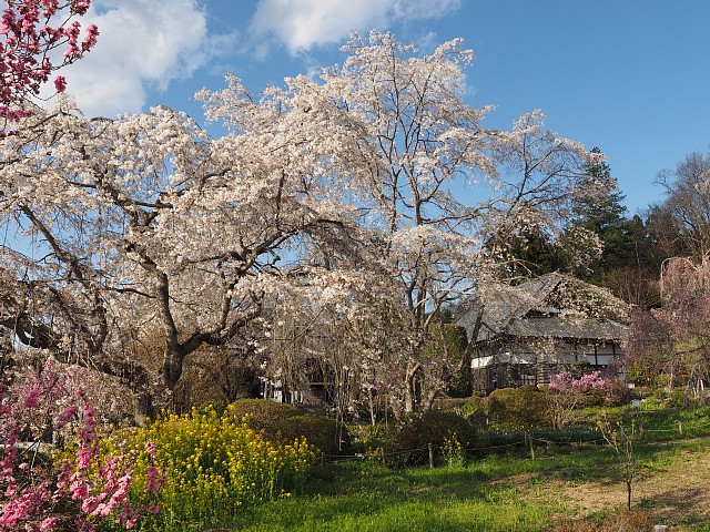 法善寺