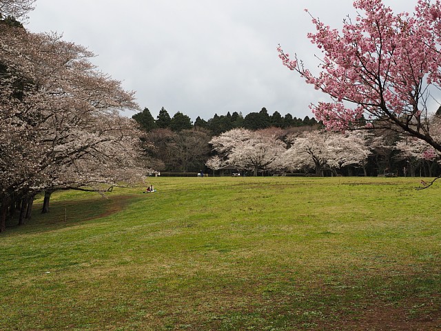 花木の広場