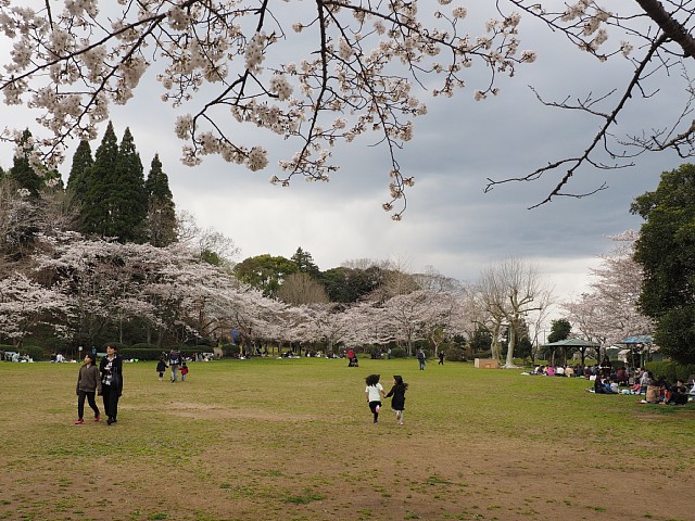 茂原公園・第二広場