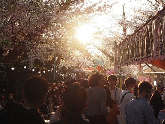 上野東照宮通り