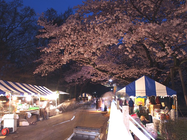 小金井公園