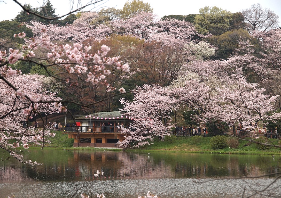 三ツ池公園