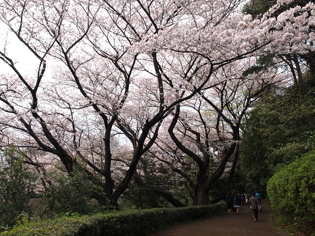 遊歩道