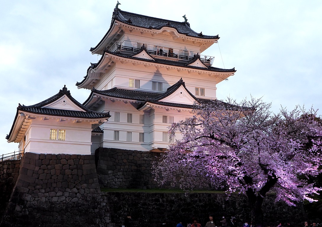 夜の城