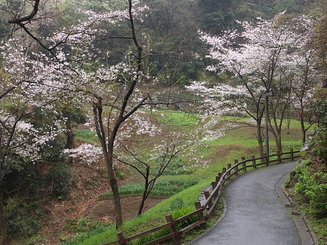 遊歩道