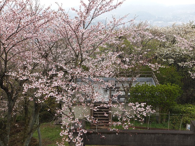 衣笠山展望台