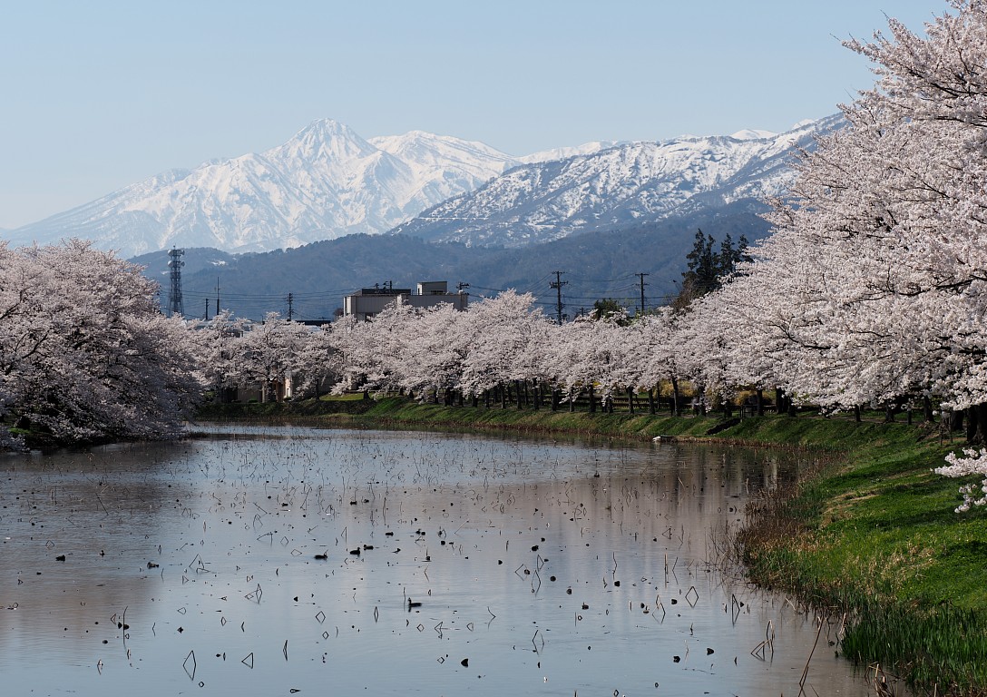 高田城外堀と妙高山