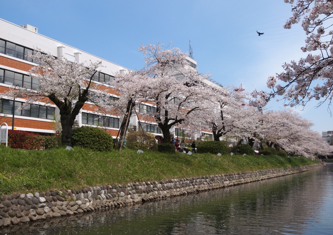 富山県庁舎