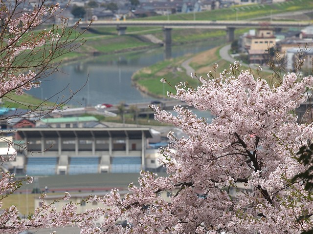 足羽川