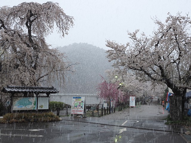 臥竜公園入口