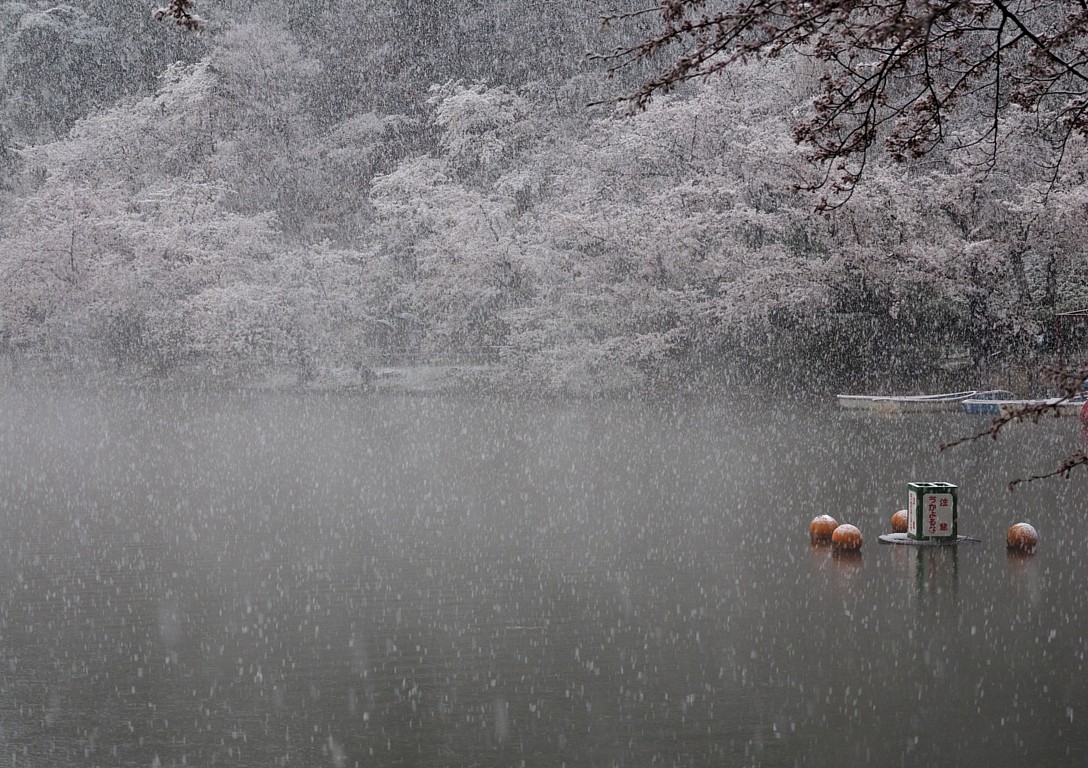竜ヶ池