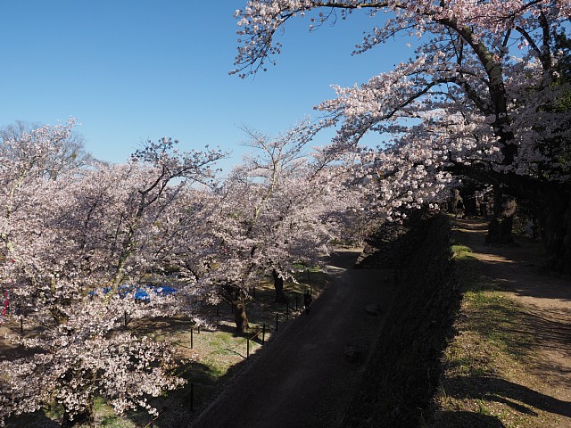 石垣遊歩道