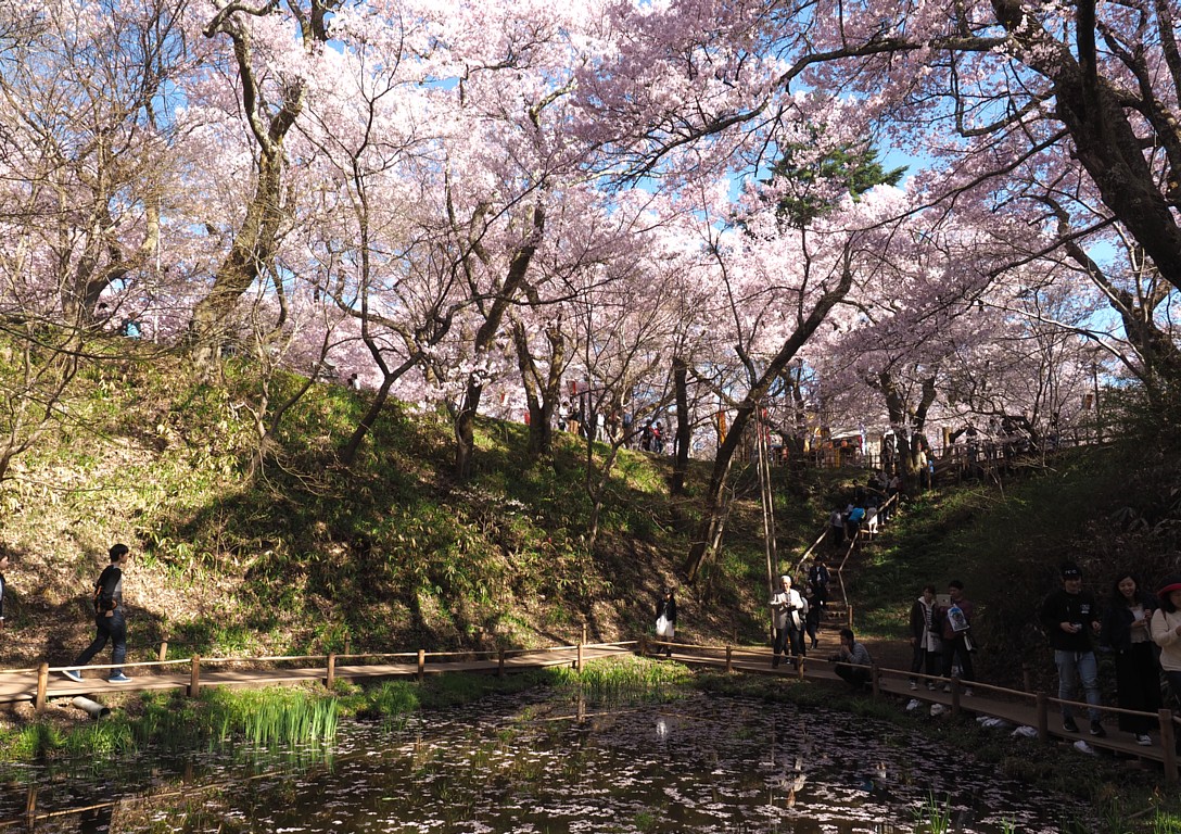 高遠城址公園