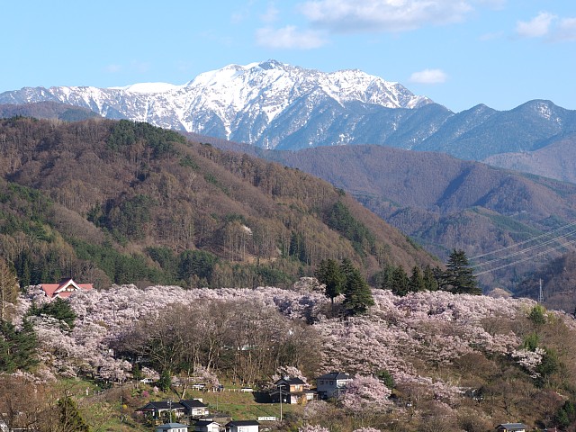 仙丈ヶ岳