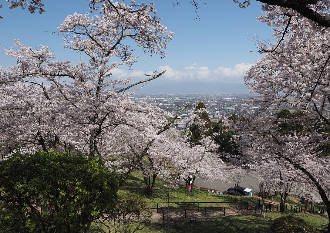 大法師公園