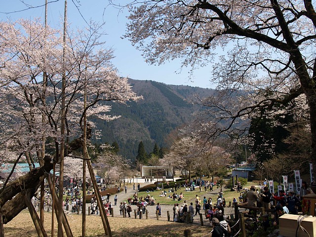 淡墨公園