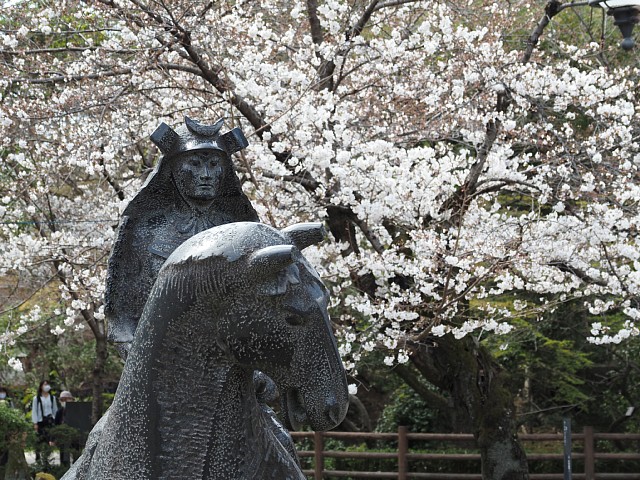 岡崎公園