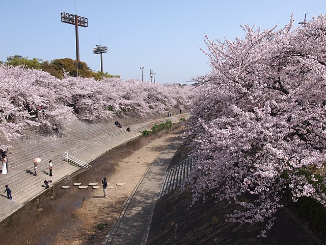 山崎川