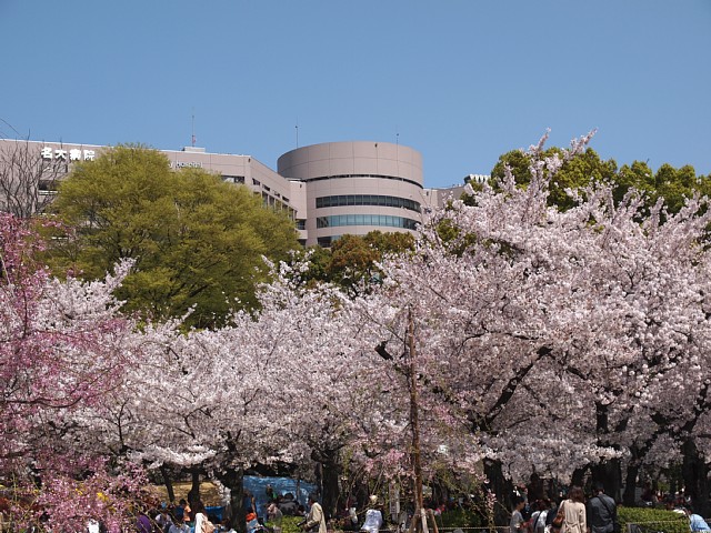 鶴舞公園