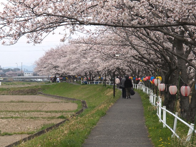 尾北自然歩道