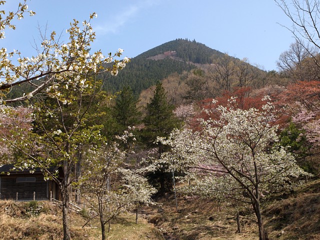 大洞山