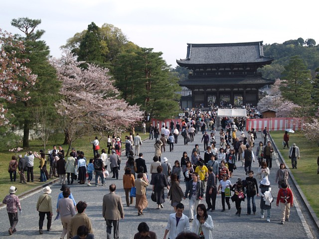 仁和寺参道