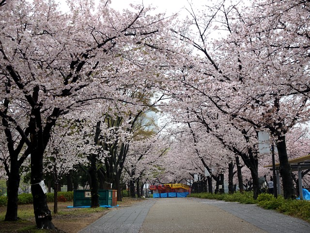 大阪城公園