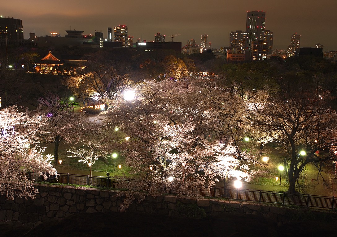 西の丸庭園