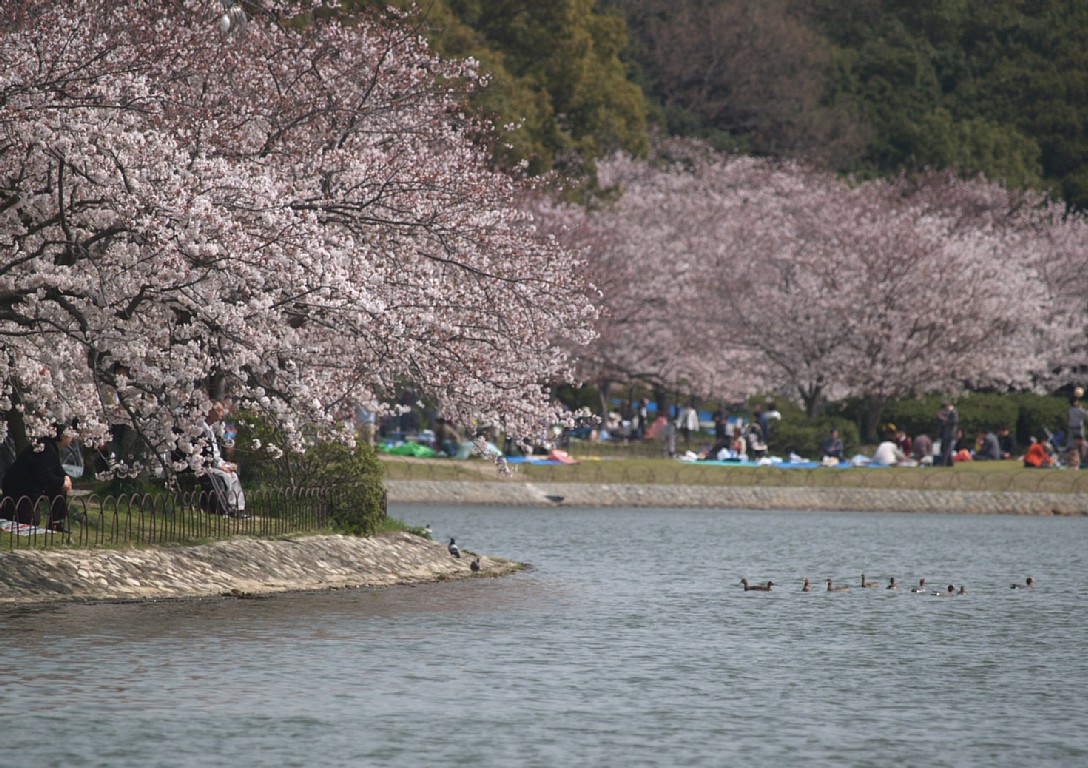 剛の池