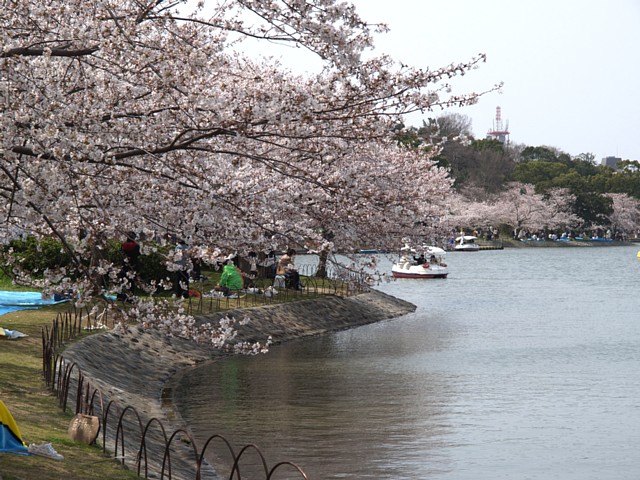 明石公園