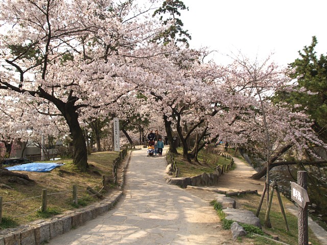 河川敷