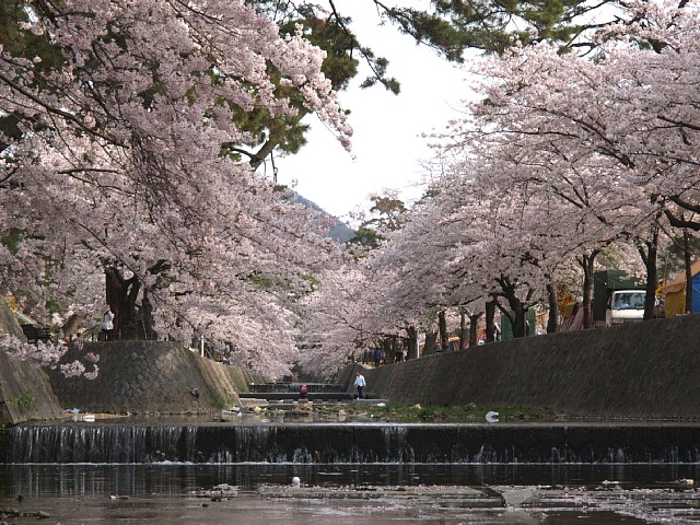 夙川公園