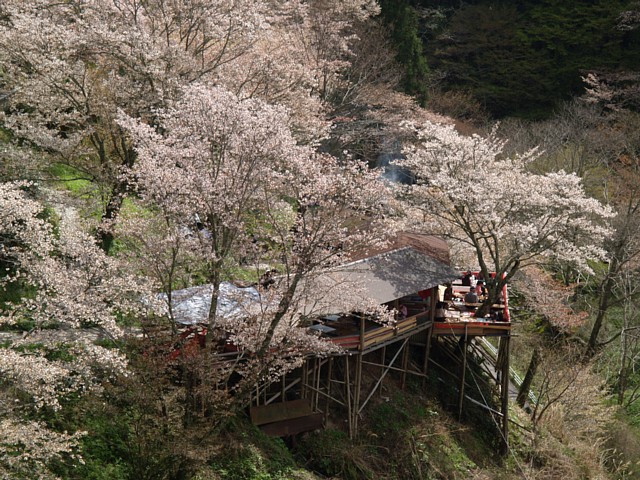 五郎平園地