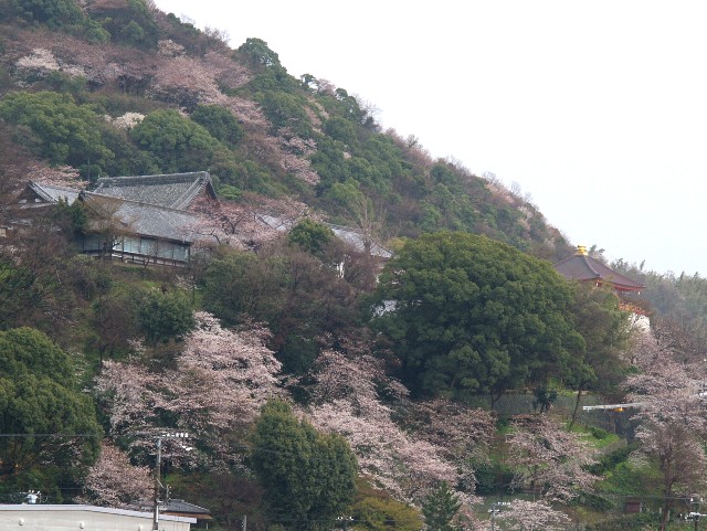 紀三井寺