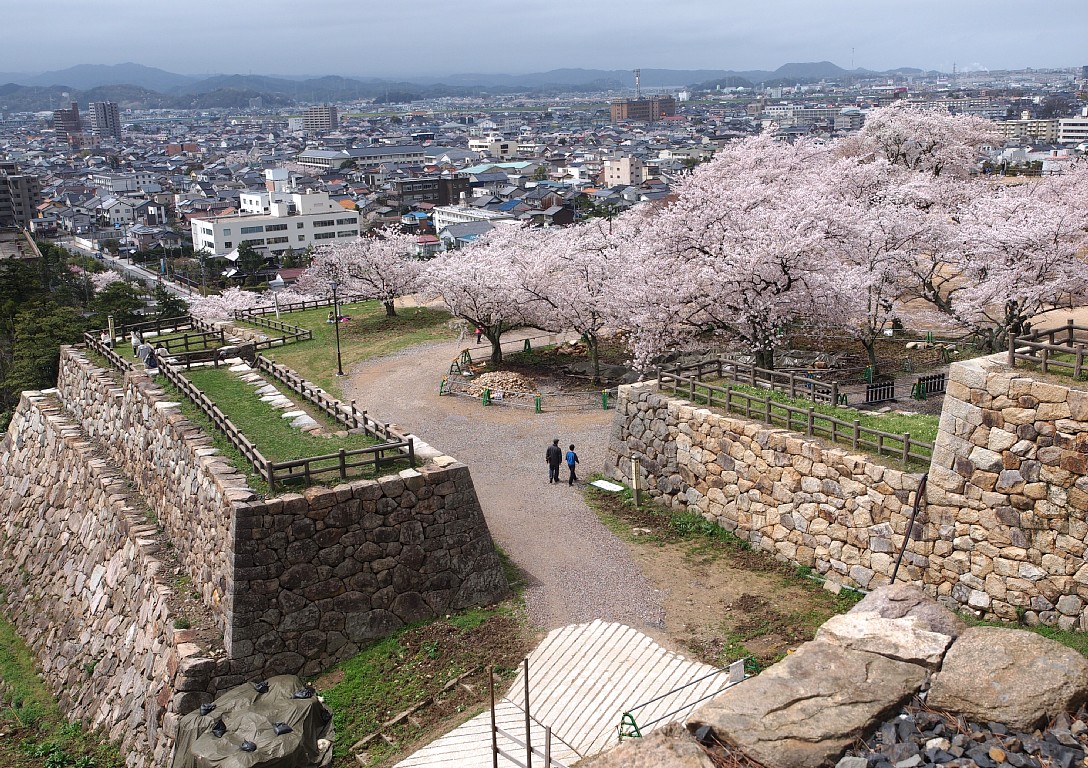 鳥取市街