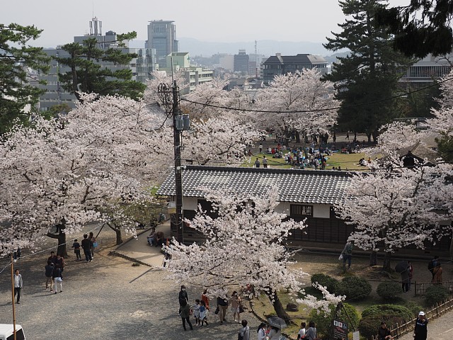 松江城山公園